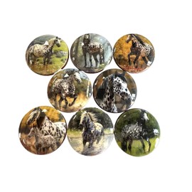 Twisted R Design Cabinet Knobs, Knobs for Kitchen Cabinets and Drawers, Matching Cabinet Knobs and Pulls, 1.5" Round Dresser Knobs Nature Animals, (Appaloosa Horse)