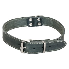 JACK AND VANILLA, Dog Collar for Oily Skin Grey Size 30mm x 75cm