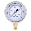Fydun TS PGG604-400 Bar Y60 Radial Oil Filled Pressure Gauge