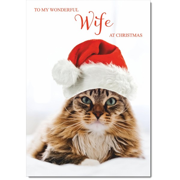 doodlecards Wife Christmas Card Cat with Santa Hat Medium Size
