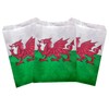 Welsh Flag Design Paper Bag ideal for counter bag, party