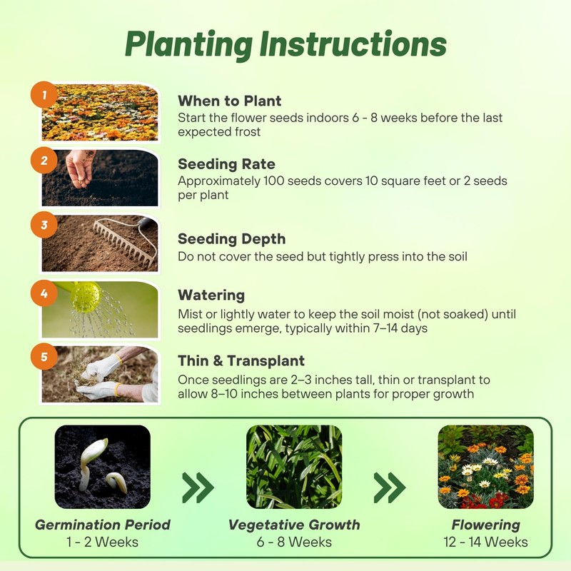 Outsidepride Kiss Mix Gazania Seeds for Planting – 25 Pcs