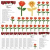 Liliaafar 30 Sets Red Funeral Favors for Guests, Memorial Rose