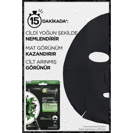 Garnier Skin Naturals PURE CHARCOAL Black Tissue Mask