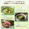 よかど市 有機青パパイヤ（葉）パウダー 50g 有機青パパイヤ葉のみ使用の純パウダー 「酵素の王様」とよばれるほど豊富な酵素と栄養素 オーガニック スーパーフード (1)