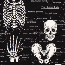 Black Glow in The Dark Skull Skeleton Fabric (per 0.5 Yard Multiples)