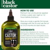 Hair Chemist Superior Growth Jamaican Black Castor Hair Oil 12