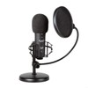 Buhne Industries BU-1SB Podcast Microphone