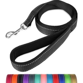 Taglory Nylon Dog Leash 6ft, Soft Padded Handle Pet Reflective Leashes for Medium Large Dogs Walking & Training, Black