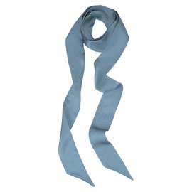 PATIKIL Stylish Ribbon Scarf, Solid Color Skinny Scarf Pure Long Neckerchief Silk Necktie Belts Sash Hair Scarves Headband Ribbon Tie for Women, Blue