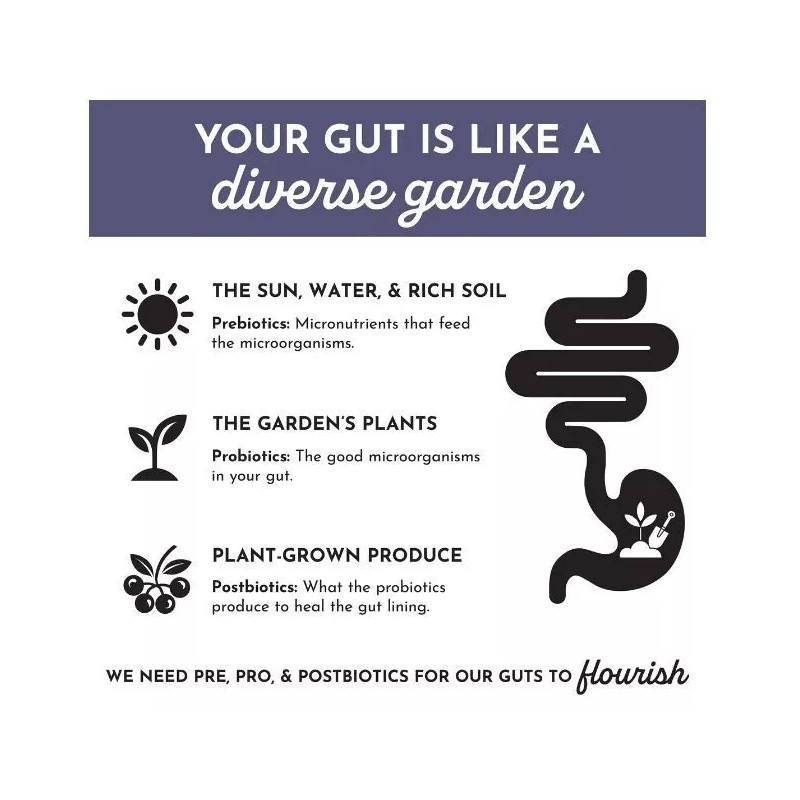 Just Ingredients Probiotic Complex Powdered Drink-Elderber