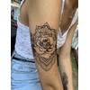 Butterfly Tattoo Moon Tattoo Roses Tattoo Fake Tattoos TBS 3