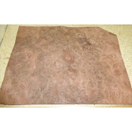 Carpathian Elm Burl Wood Veneer 8" x 10" raw with no Backing 1/42" Thickness AA