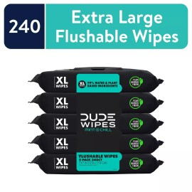 DUDE Wipes Flushable Wipes, XL Wet Wipes for At Home Use, Mint Chill, 48 Count,