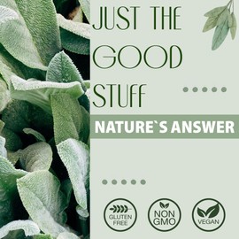 Nature's Answer Nature's Answer, Gotu Kola, 600mg, 30ml, Gluten Free, Soy Free, Vegan, Vegetarian, Non-GMO