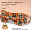 Babole Pet Fall Dog Collar with Bow Tie - Green