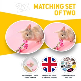 2 x 30cmVinyl Stickers - Cute Baby Rabbit Pink Flowers Decals for Car Van Luggage Scrap Book Fridge #14327