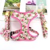 Beirui Cute Girl Dog Collars, Harnesses & Leashes Set -