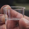 AIOS Pack of 50 Plastic Shot Glasses - Multi Use