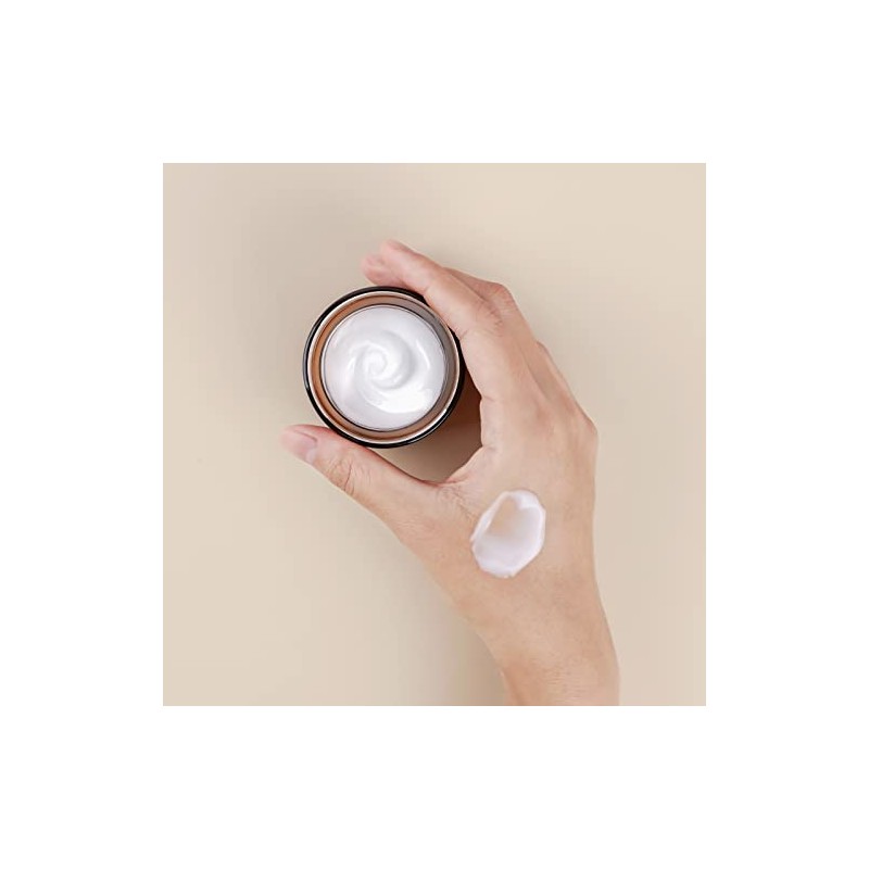 Mizon All One Snail Repair Cream 75ml Crema Facial Reparadora