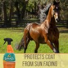 Absorbine Horse Coat Conditioner 32 Fl Oz Deep Conditioning Spray