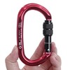 GM CLIMBING Foot Loop and 24kN Locking Carabiner Black Set