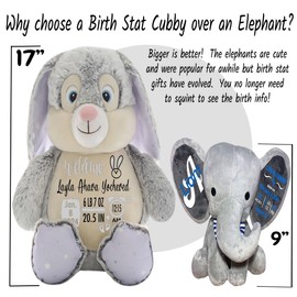 Birth Stats Stuffed Animal - Baby Birth Stats 17" Bunny Rabbit - Baby Keepsake - Baby Shower Gift - Birth Information Plush - Great 1st Stuffed Animal - Removable Cover (Lavender Bunny)