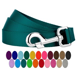 Country Brook Petz - 1 Inch Nylon Dog Leash - Strong, Durable, Traditional Style Leash with Easy to Use Snap - 25+ Colors