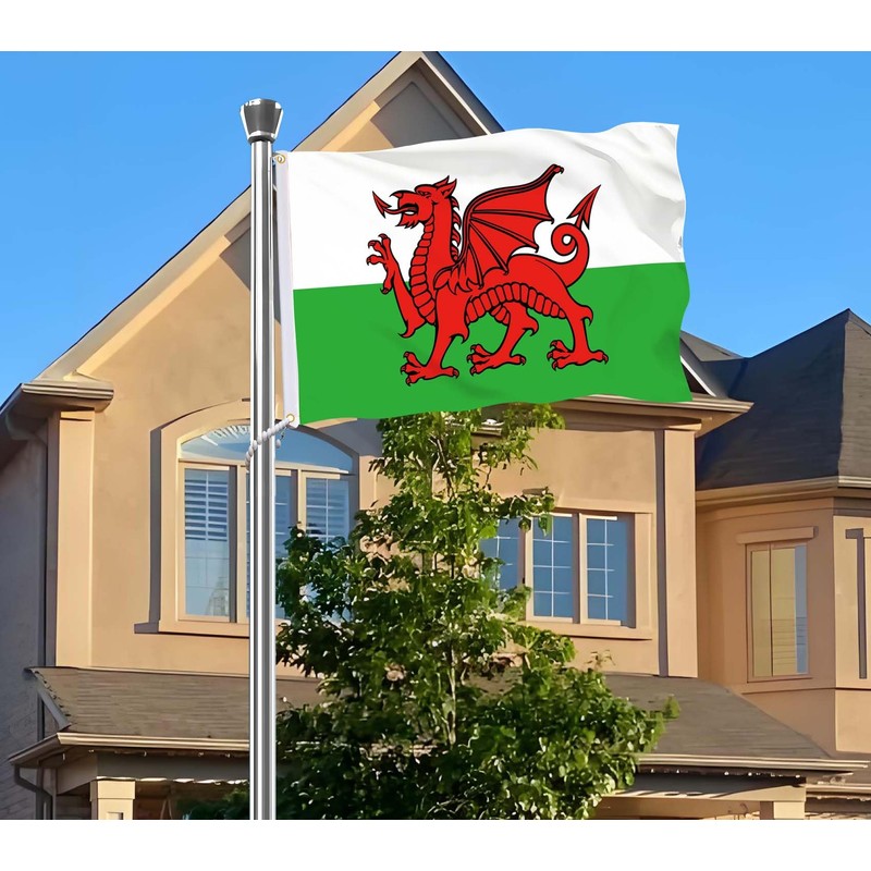 Welsh Flag,Big 3x5 FT Wales Dragon Flag,36x60 Inch Large Digitial