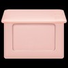 VDL Cheekstain Blusher Mini 2.7g - 01 Bouncing Peach