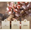 EN Boswellia Serrata Capsules | 120 Capsules - High Strength