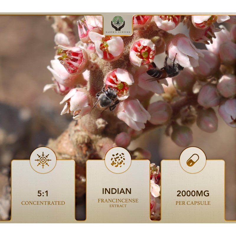 EN Boswellia Serrata Capsules | 120 Capsules - High Strength