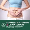 Selvaherb Poke Root Capsules Lymphatic Drainage Supplements, Lymph System Support