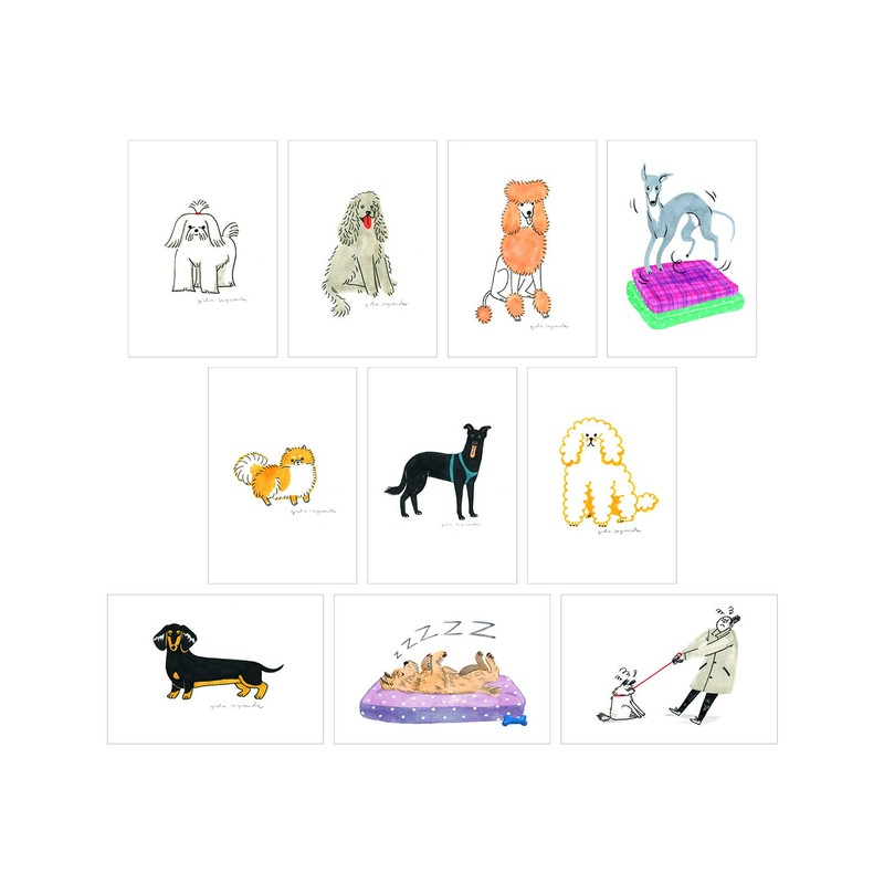 Dog Box: 100 Postcards by 10 Artists