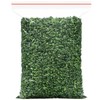 Mulberry leaf tea 7.05 oz -Fried mulberry leaves after frost-Tea