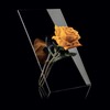 Guzzini - Icons, Single Stem Vase 'Si Single' - Transparent,