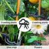 Plant Support Clips ValueHall 60 Pcs Gardening Plant & Flower