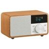Sangean WR-305 Wide FM Radio Bluetooth Speaker with OLED Display,