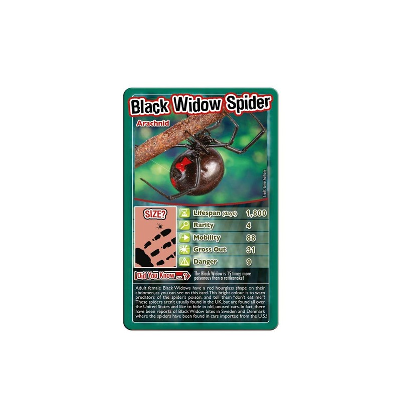 Bugs Top Trumps Card Game
