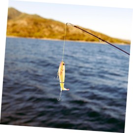 SUPVOX 2pcs Hard Bait Fishing -Like Imitation Baits for Freshwater Realistic Design Fishing Accessories