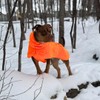Spark Paws Dog Raincoat, Waterproof Windproof Rain Jacket, for Small
