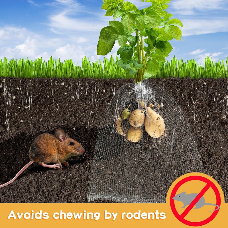 10 Pcs Root Guard Gopher Proof Wire Basket Stainless Steel