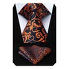 HISDERN Floral Paisley Wedding Tie Handkerchief Men's Necktie & Pocket