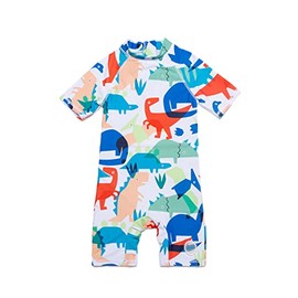 Baby Boy Swimsuits One Piece UPF 50+ Sun Protection Zip Sunsuit Rash Guard (Dinosaur,6-9 months)