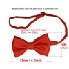 Tuxedos Girdle Cummerbund Bow Tie Pocket Square Handkerchief Set Girdle