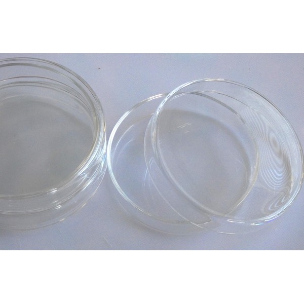 Glass Petri Dish, Tissue Culture Plate, Autoclavable Borosilicate Glass, Biology