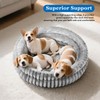 Dual-Layer Donut Cat Bed - Fluffy Round Bed for Small