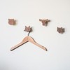 Scandinavian Animals Wall Hooks Made of Untreated Walnut Wood (Elk