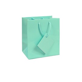 10 pcs Tiny Fancy Robin's Egg Blue Glossy Finish Shopping Paper Gift Sales Tote Bags with Blank Message Tag 3" x 2" x 3.5"