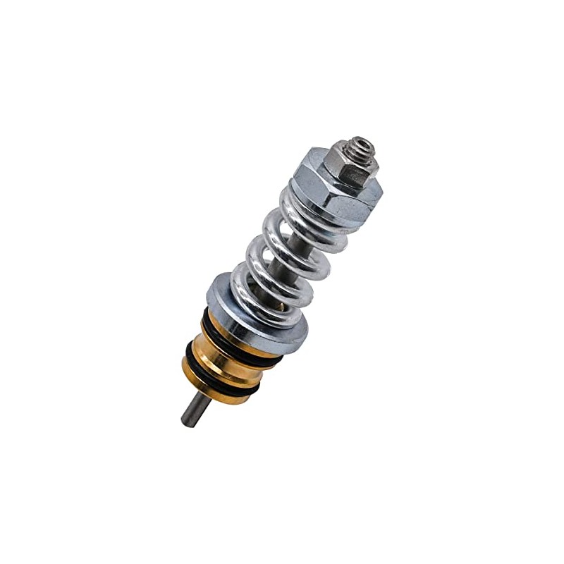 JDLLONG 310924003 Unloader Valve kit for Many Coleman Features for